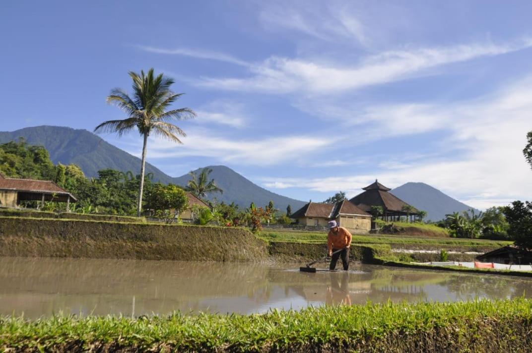 Kubu D'Ume Homestay Jatiluwih Exterior foto