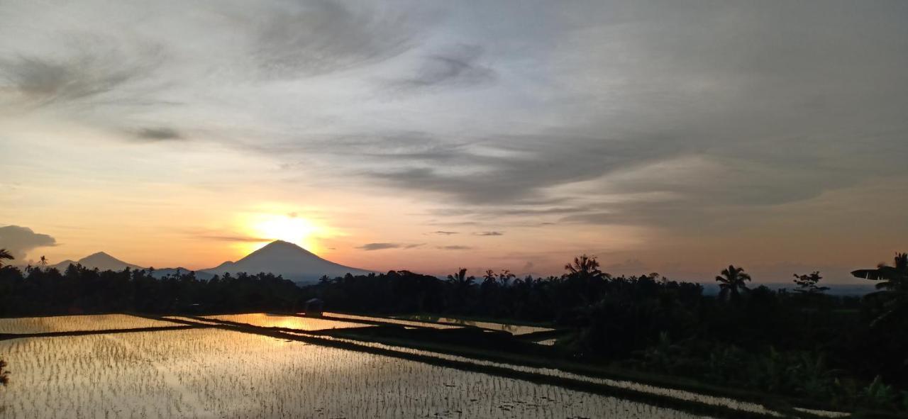 Kubu D'Ume Homestay Jatiluwih Exterior foto